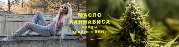 индика Михайлов
