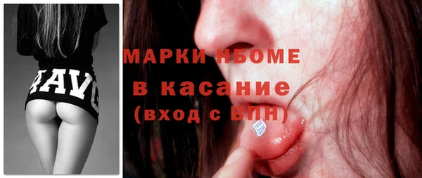индика Михайлов