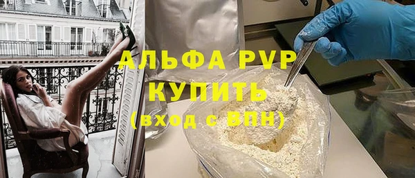 индика Михайлов
