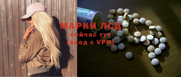 индика Михайлов