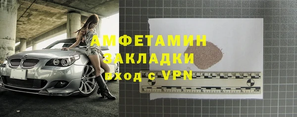 индика Михайлов