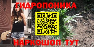 наркотики Гатчина