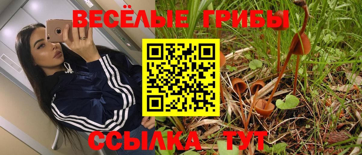 Галлюциногенные грибы Psilocybe  Галлюциногенные грибы MAGIC MUSHROOMS  Вход с VPN  Туймазы 